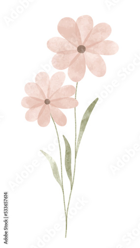 Watercolor trendy flower. Vector illustration for web, app and print. Elegant feminine shape floristic isolated daisies flowers. Garden, botanical, minimalistic floral element. © Alina