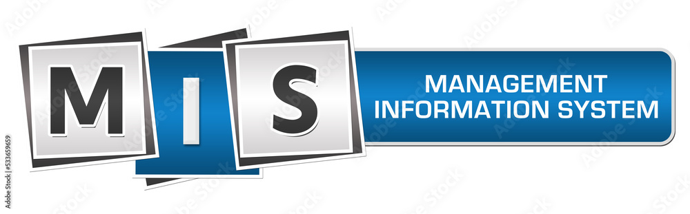 MIS - Management Information System Blue Grey Squares Bar MIS - Management Information System Blue Grey Squares Bar