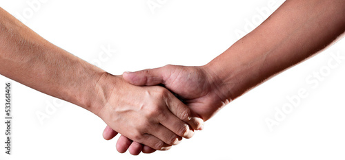 Handshake. Concept of greeting between two people.