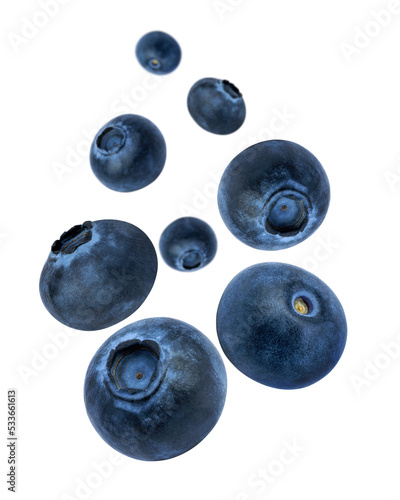 Fresh blueberry fruit levitate isolated on white background. 