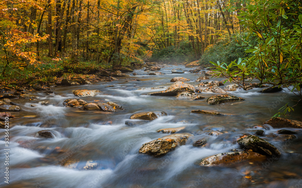 Fall colored forest wilderness scene with cascading stream of water flowing over rocks with yellow and green autumn colors
