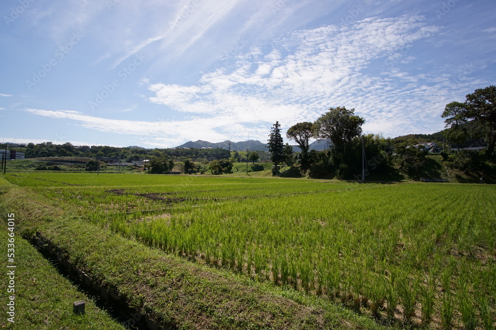 Obraz premium 秋の空 丹波篠山 田園風景 9月下旬