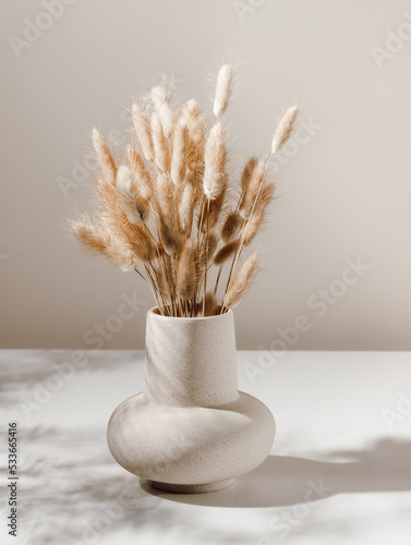 Aesthetic home home decoration vase with dry lagurus grass and shadows