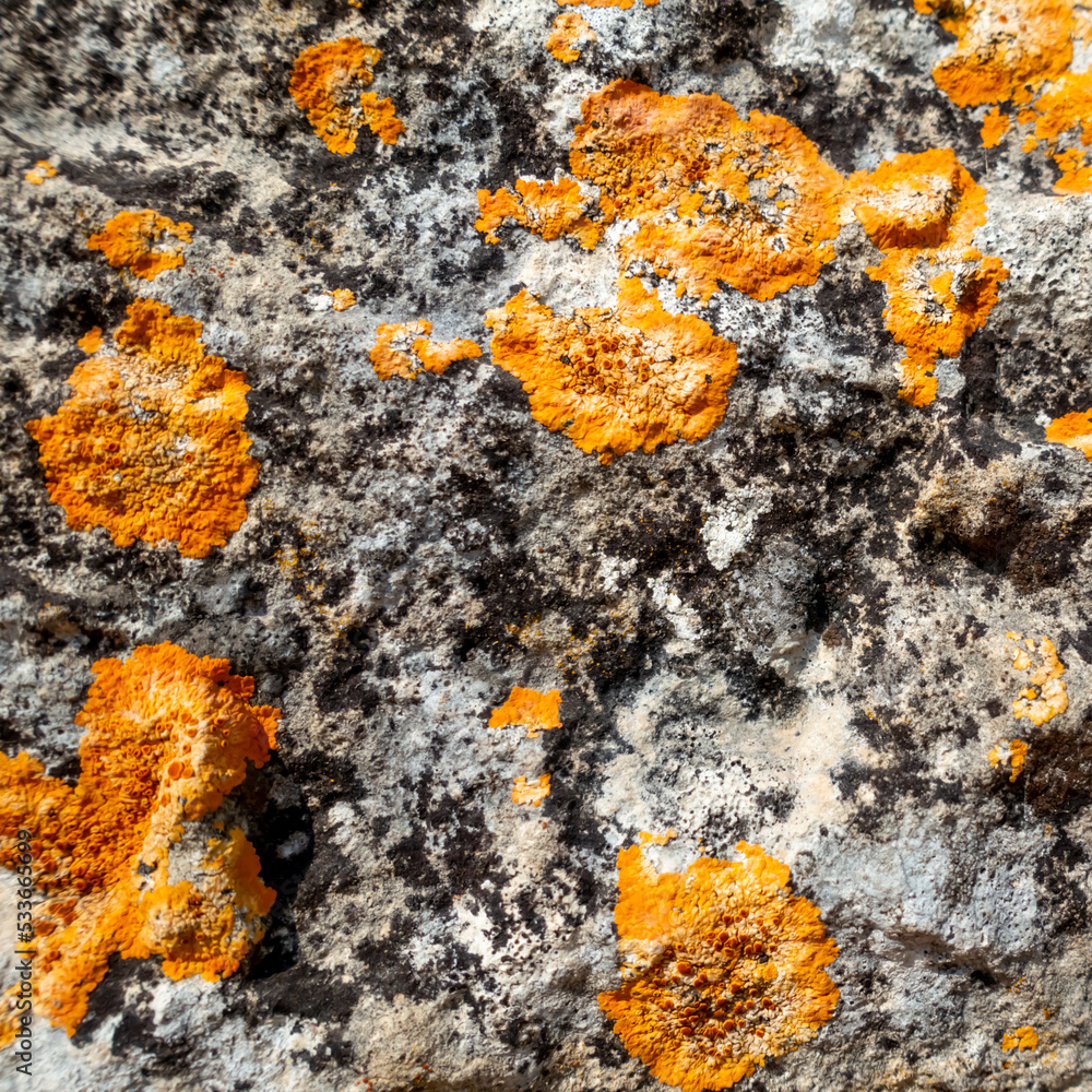 Pale Orange Rocks 9. Orange sediments on granite rock Stock Photo | Adobe Stock