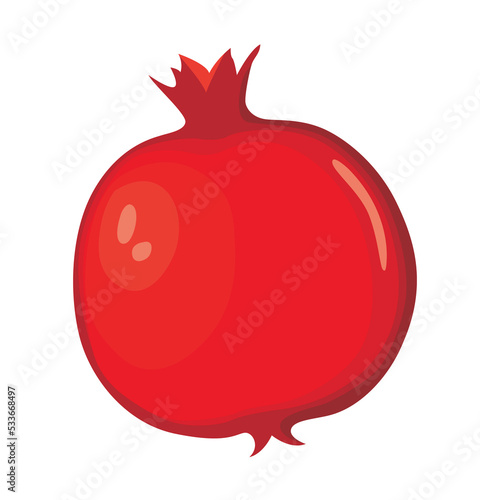 pomegranate flat icon vector illustration symbol Isolated template. fruits and vegetable icon vector illustration logo template Isolated for any purpose.