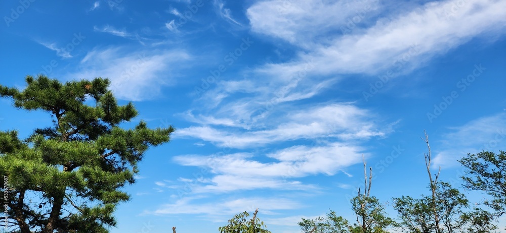 Obraz premium blue sky with white clouds