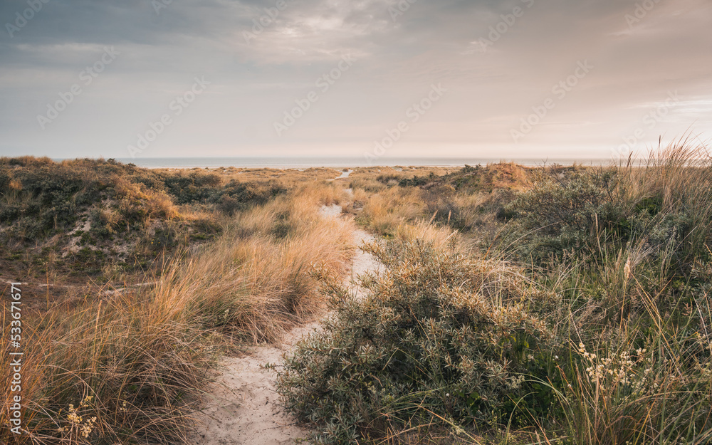 Going for a walk on a path in the dunes on the beautiful endless sand beach on the Northsea coast of the german island Juist in morning dusk.