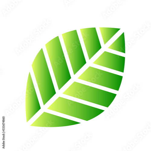 Botanical icon with vibrant colors and gradient. PNG with transparent background.