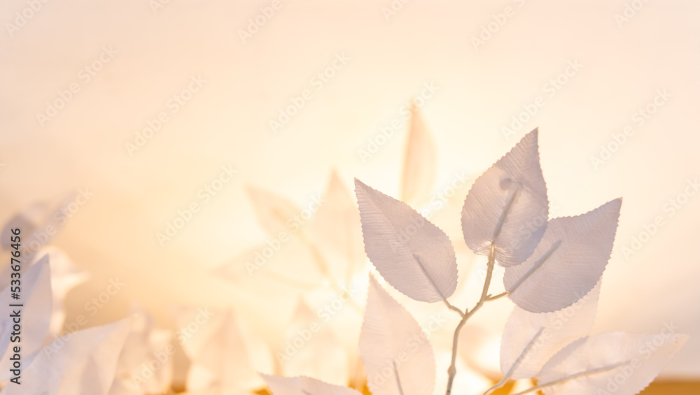 Decoration leaves with light and shadow well editing text on free space, images photo