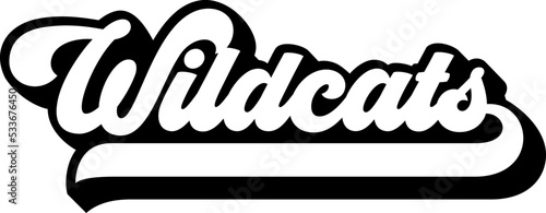 Wildcats lettering for t-shirt personalization photo
