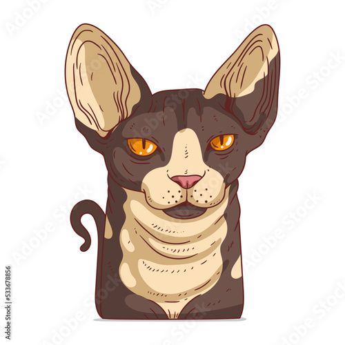 A Sphynx Cat, isolated vector illustration. Cute cartoon picture for children of a serene domestic cat looking at you. Drawn cat sticker. Simple drawing of a hairless cat on white background. A kitty.