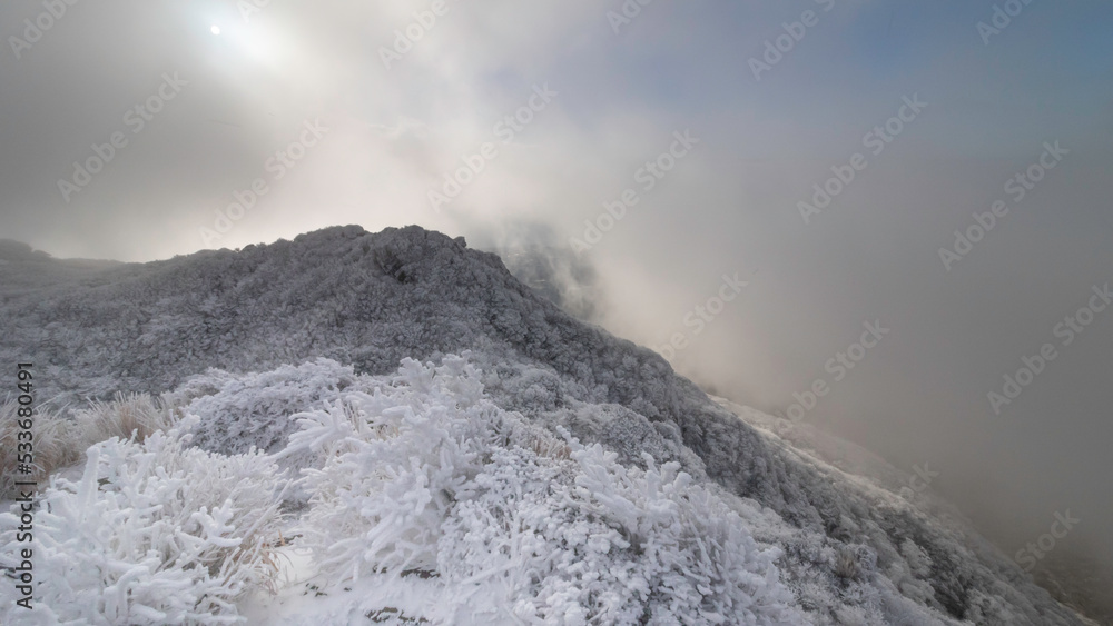 霧氷の山