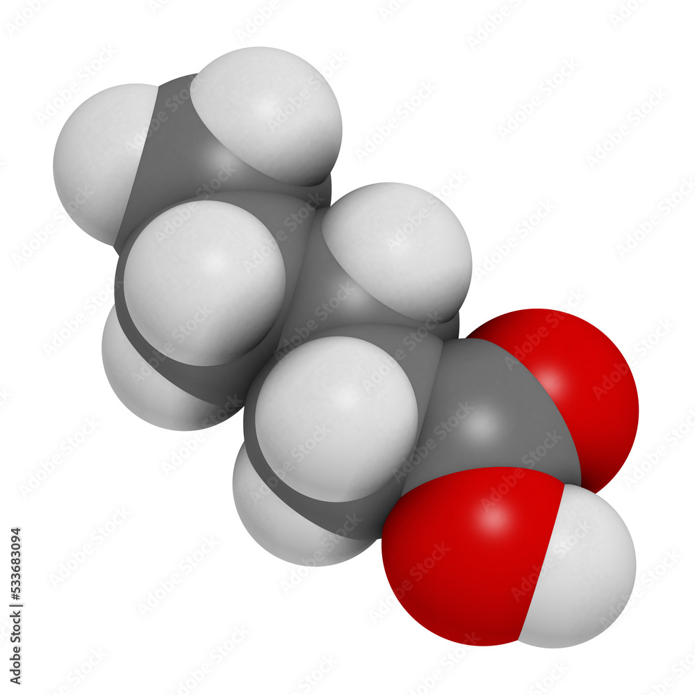 Valeric acid molecule. Smelly molecule, present in the plant valerian (Valeriana officinalis). Valeric acid molecule. Smelly molecule, present in the plant valerian (Valeriana officinalis).