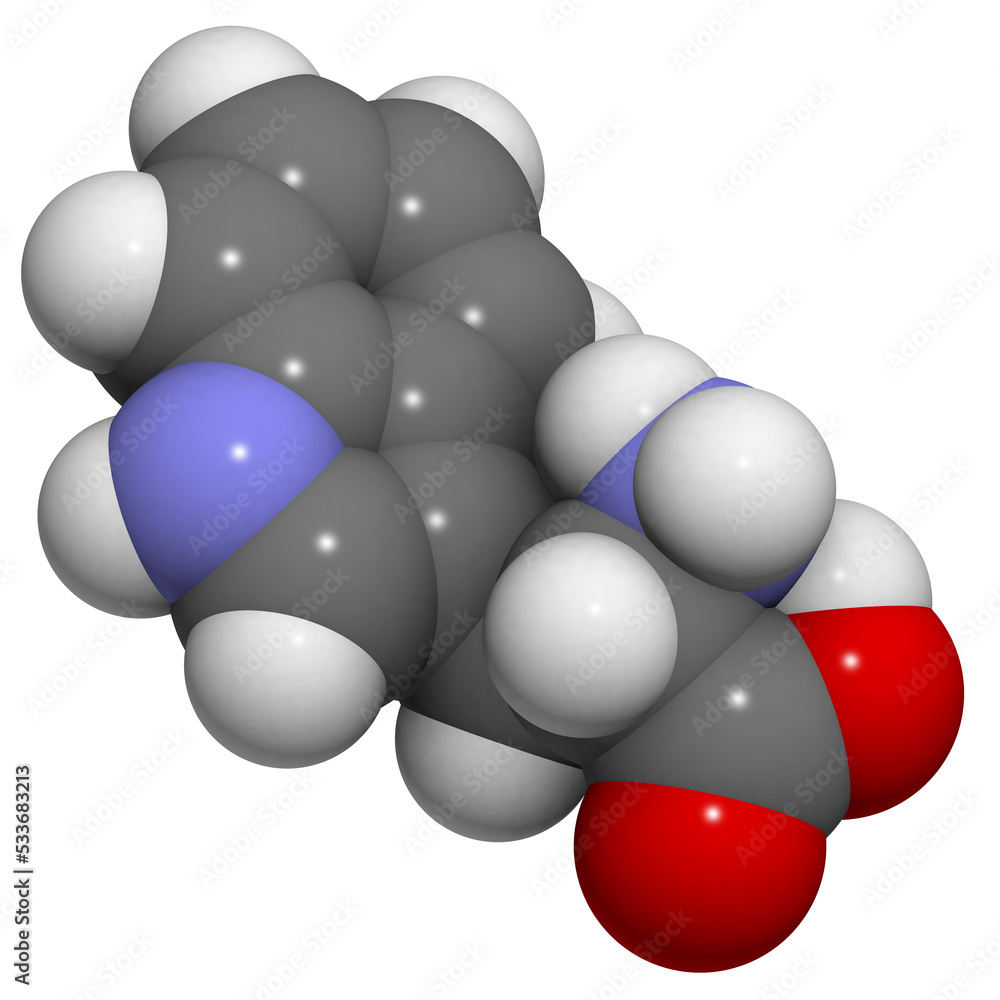 Tryptophan (Trp, W) molecule Tryptophan (Trp, W) molecule