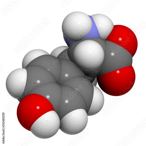 Tyrosine  Tyr  Y  amino acid  molecular model.