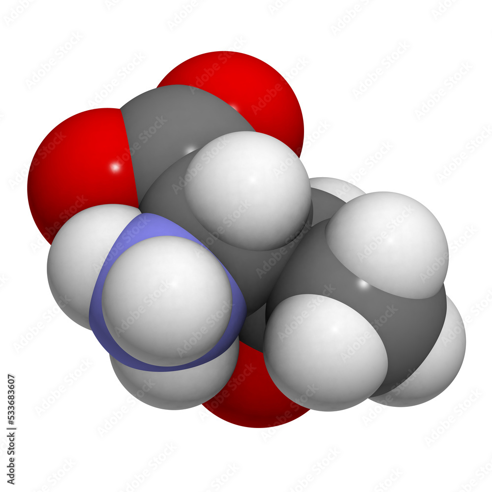 Threonine (Thr, T) amino acid, molecular model. Threonine (Thr, T) amino acid, molecular model.