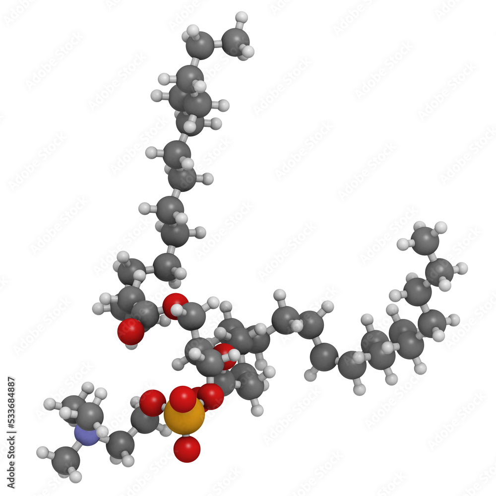 Palmitoyloleoylphosphatidylcholine (POPC) cell membrane building block, molecular model Palmitoyloleoylphosphatidylcholine (POPC) cell membrane building block, molecular model