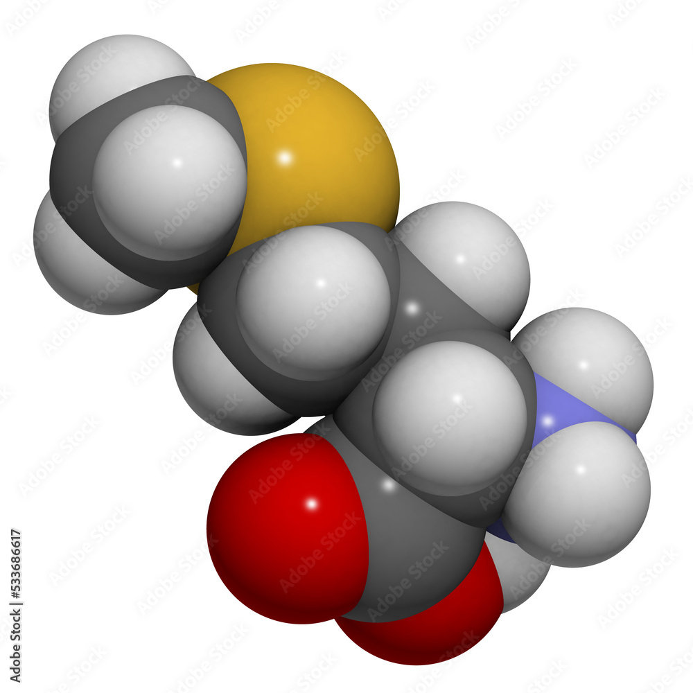 Methionine (Met, M) molecule StockIllustration Adobe Stock