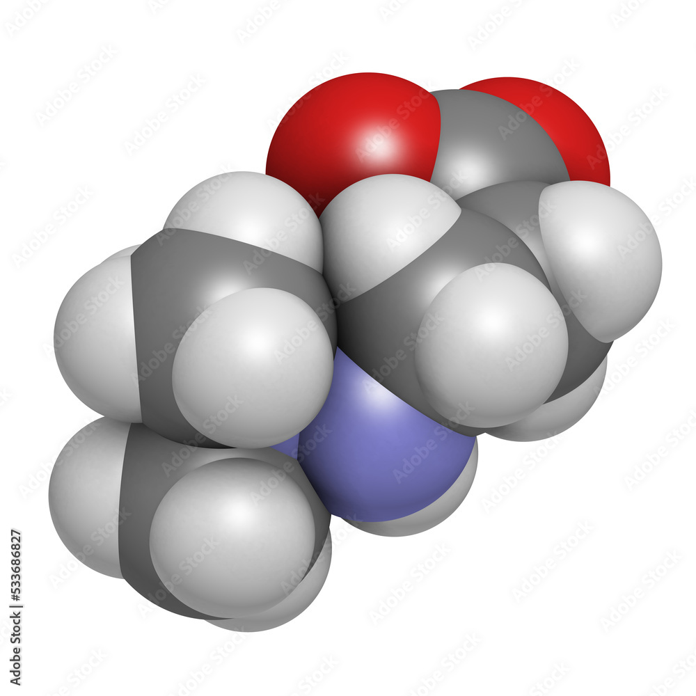 Meldonium anti-ischemic drug molecule. Used in treatment of angina and myocardial infarction. 3D rendering. Meldonium anti-ischemic drug molecule. Used in treatment of angina and myocardial infarction. 3D rendering.