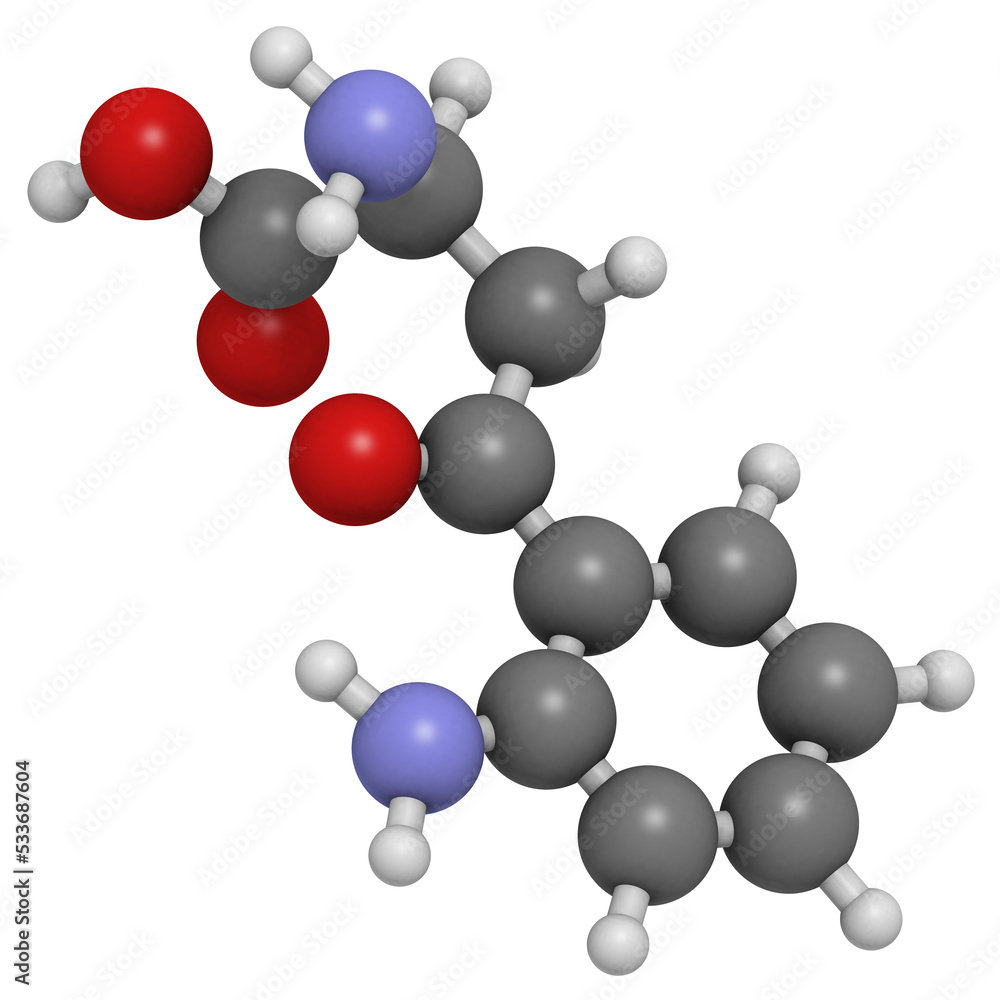 Kynurenine tryptophan metabolite, molecular model Kynurenine tryptophan metabolite, molecular model