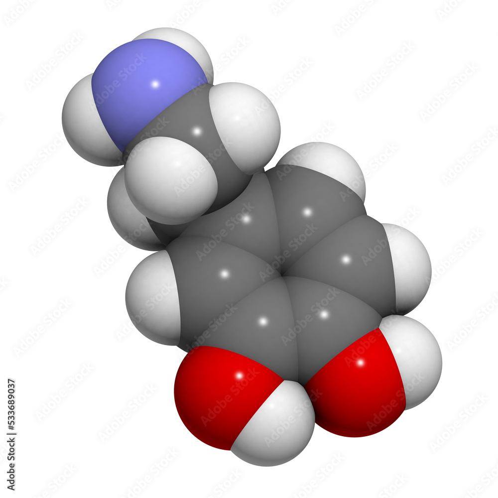 Dopamine neurotransmitter molecule, chemical structure Dopamine neurotransmitter molecule, chemical structure