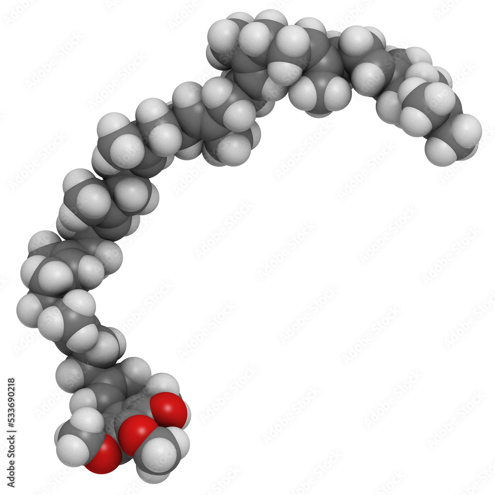 Coenzyme Q10 (ubiquinone), molecular model Coenzyme Q10 (ubiquinone), molecular model