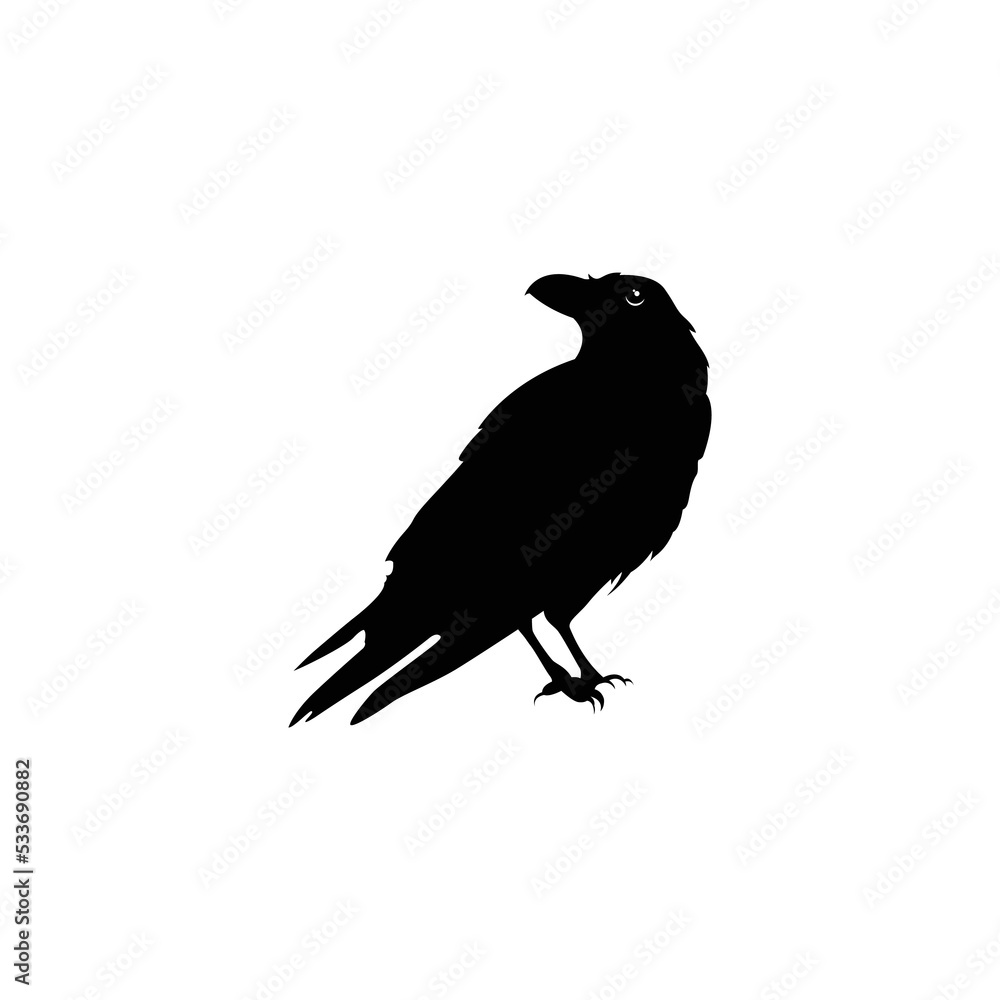 Obraz premium crow on white background