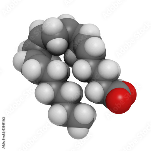 Arachidonic acid (AA, ARA) polyunsaturated omega-6 fatty acid, molecular model.