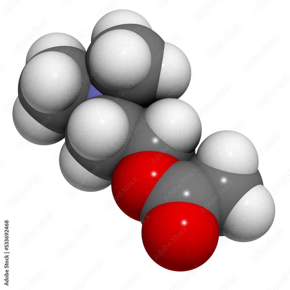 Acetylcholine (ACh) neurotransmitter, molecular model. Acetylcholine (ACh) neurotransmitter, molecular model.
