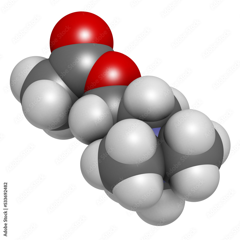 Acetylchloline (ACh) neurotransmitter molecule. 3D rendering. Acetylchloline (ACh) neurotransmitter molecule. 3D rendering.