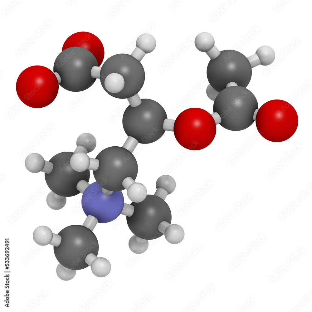 Acetylcarnitine (ALCAR) nutritional supplement molecule. 3D rendering. Acetylcarnitine (ALCAR) nutritional supplement molecule. 3D rendering.