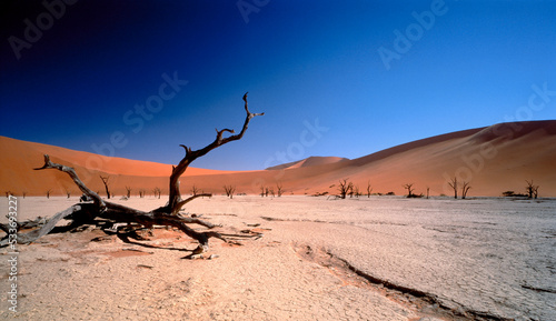 Desert, Soussusvlei, Namib Desert, Namibia photo