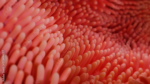 illustration of intestinal microvilli 3d render