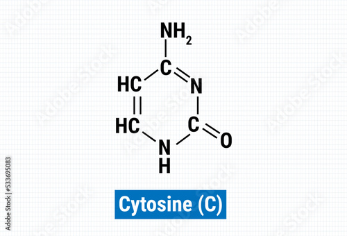 Chemical structure of Cytosine (C)