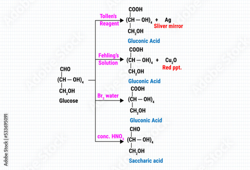 Chemical reaction of Saccharic acid photo