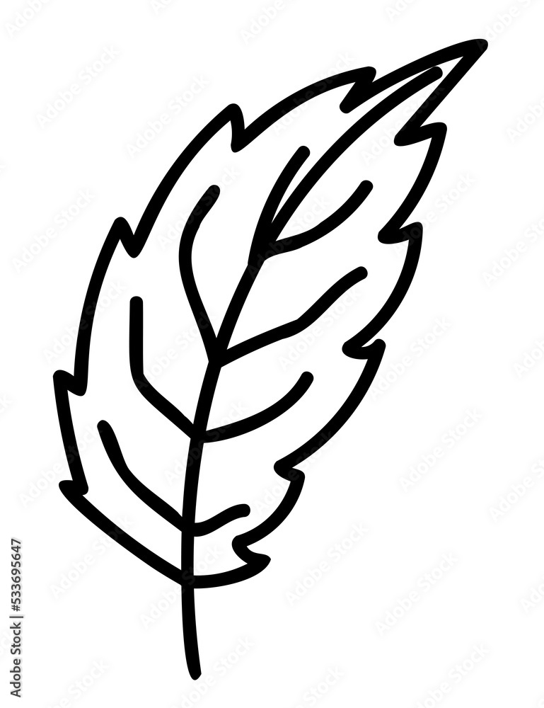 Plant illustration, outline decoration. PNG with transparent background. Plant illustration, outline decoration. PNG with transparent background.