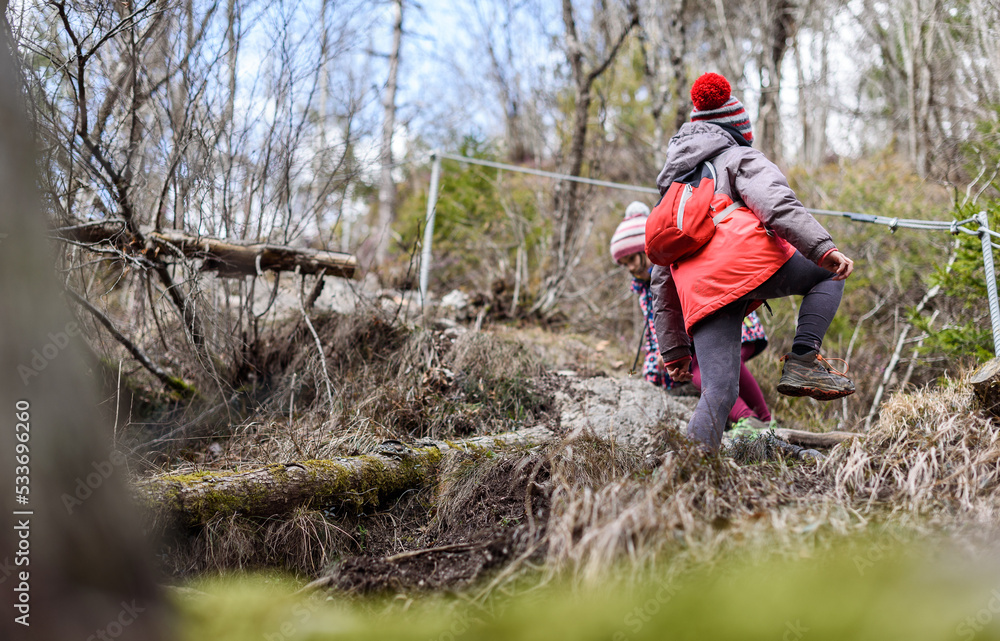 Children hiking in the mountains or woods on family trip. Children hiking in the mountains or woods on family trip.