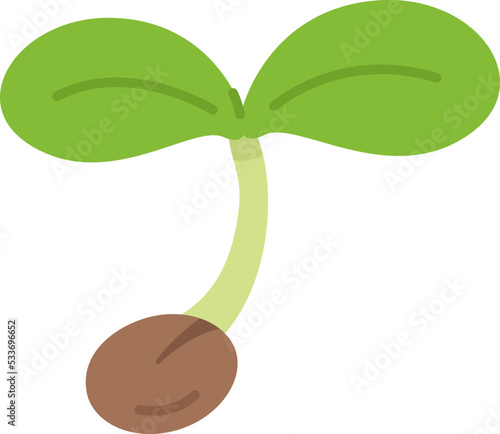 種から発芽した、新芽のイラスト