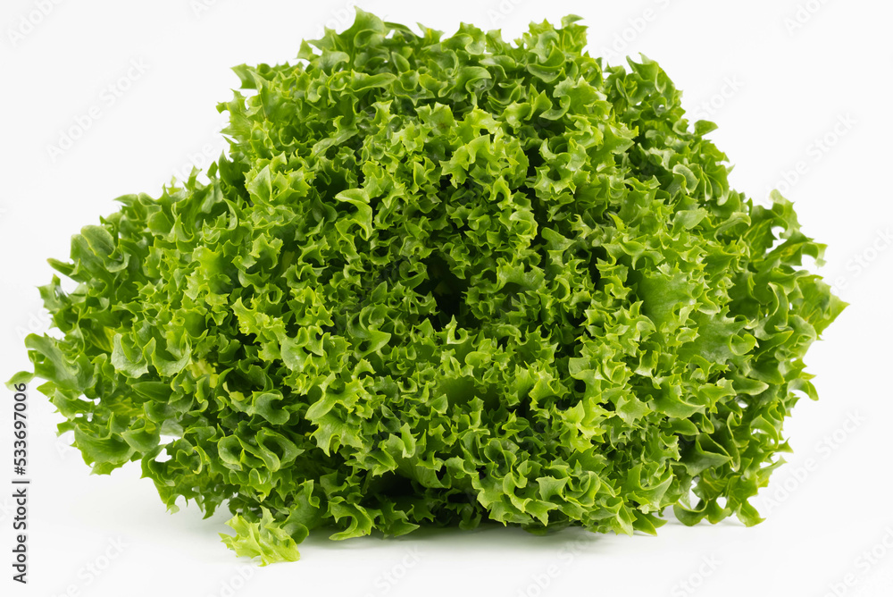 On a white background, a lush green Lollo salad. Useful products concept. On a white background, a lush green Lollo salad. Useful products concept.