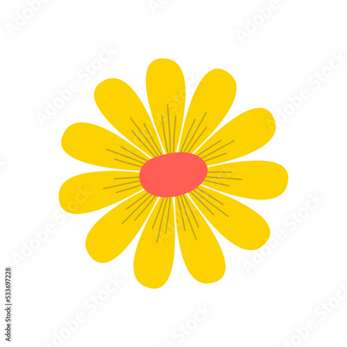 Bush daisy illustration