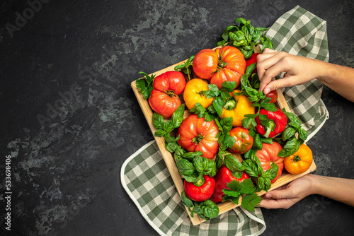 farmer female hands hold garden fresh vegetables in a box, Various colorful garden tomatoes and bell peppers, Long banner format