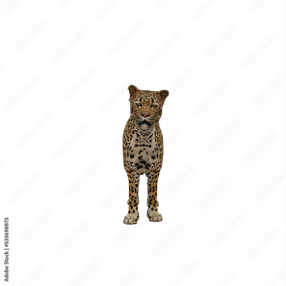 Naklejka premium Cheetah