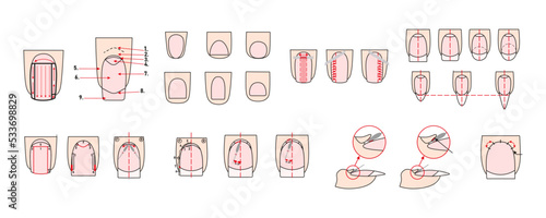 Sawdust material. Professional manicure guide. Manicure instructions collection. Correct use of the cutter. Nails polish.