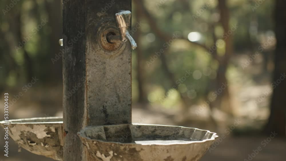 A cup and a tap with drinking water in the forest, dripping into a bowl of water in slow motion. A cup and a tap with drinking water in the forest, dripping into a bowl of water in slow motion.