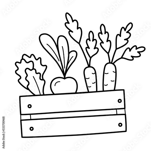 Vegetables in wooden box, doodle icons of carrots, lettuce, beet, turnip, harvesting vector illustrations, isolated outline clipart on white background