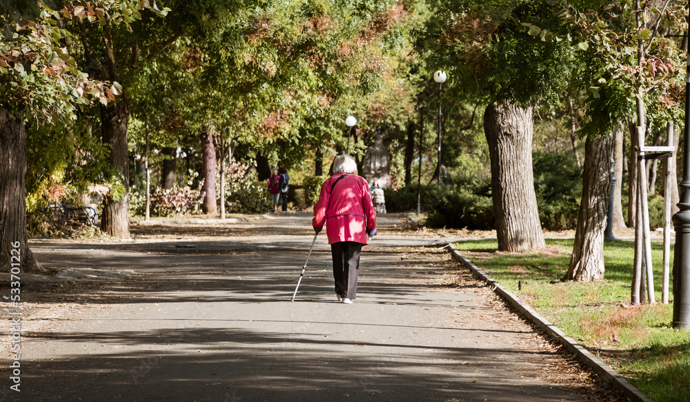Old white hair woman back on the path in park, old age and loneliness concept 
