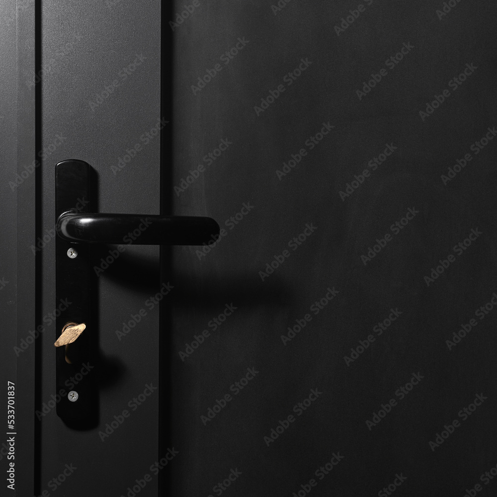 metal handle on a metal door metal handle on a metal door