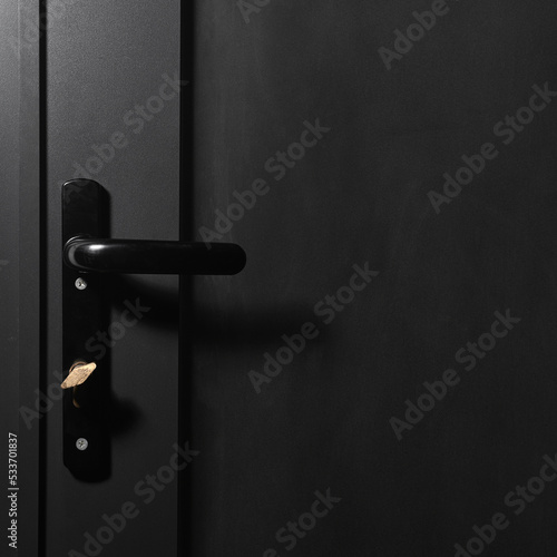 metal handle on a metal door