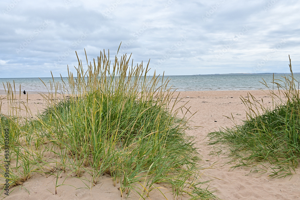 Dunes with grass on sandy Dornoch Beach looking out to sea, Dornoch, Highland, Scotland Dunes with grass on sandy Dornoch Beach looking out to sea, Dornoch, Highland, Scotland