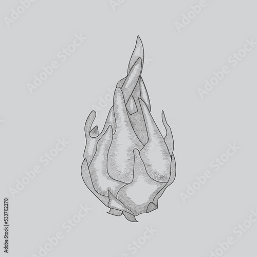 Hand Drawing Dragon Fruit art